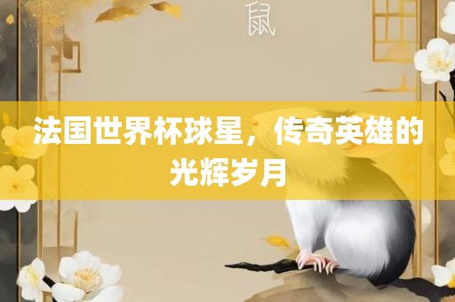 法国世界杯球星，传奇英雄的光辉岁月