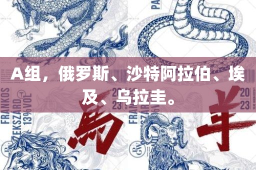 A组，俄罗斯、沙特阿拉伯、埃及、乌拉圭。