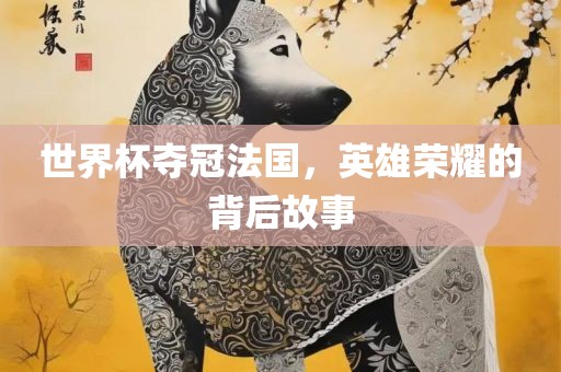 世界杯夺冠法国，英雄荣耀的背后故事