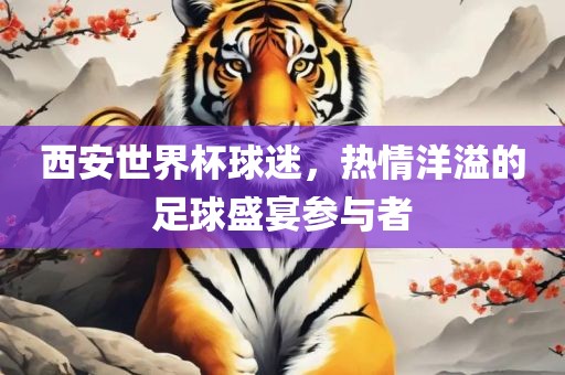 西安世界杯球迷，热情洋溢的足球盛宴参与者