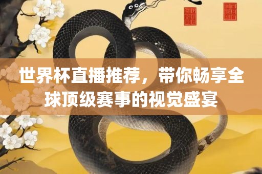 世界杯直播推荐，带你畅享全球顶级赛事的视觉盛宴