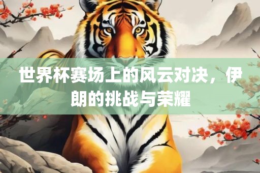 世界杯赛场上的风云对决，伊朗的挑战与荣耀