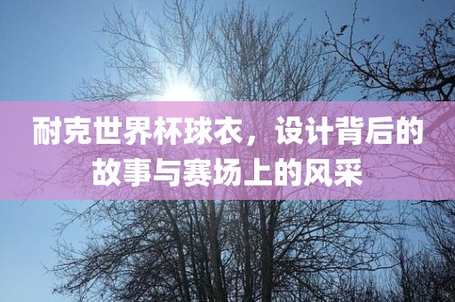 耐克世界杯球衣，设计背后的故事与赛场上的风采