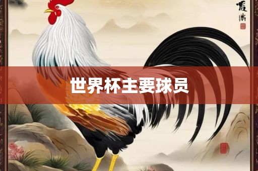 世界杯主要球员