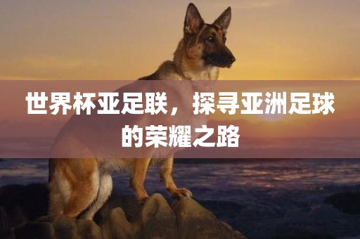 世界杯亚足联，探寻亚洲足球的荣耀之路