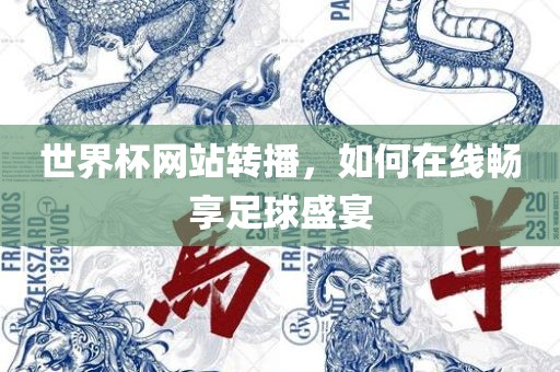 世界杯网站转播，如何在线畅享足球盛宴