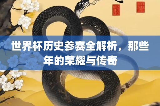 世界杯历史参赛全解析，那些年的荣耀与传奇