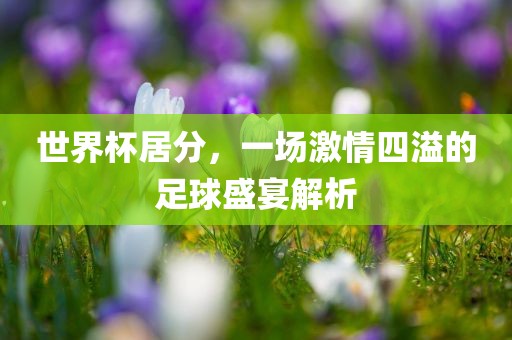世界杯居分，一场激情四溢的足球盛宴解析