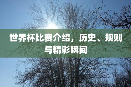 世界杯比赛介绍，历史、规则与精彩瞬间