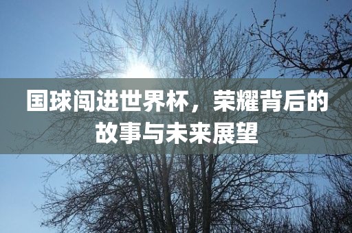 国球闯进世界杯，荣耀背后的故事与未来展望