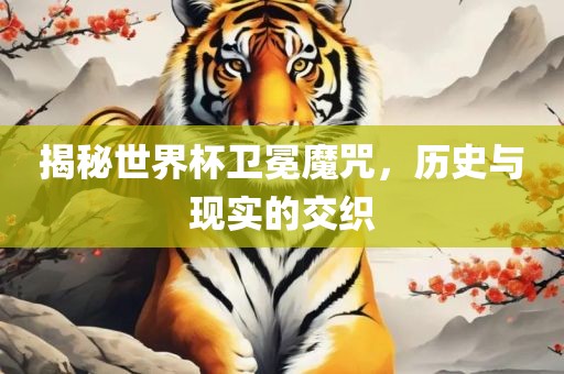 揭秘世界杯卫冕魔咒，历史与现实的交织