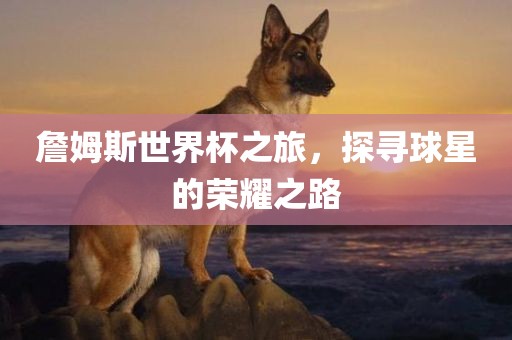 詹姆斯世界杯之旅，探寻球星的荣耀之路
