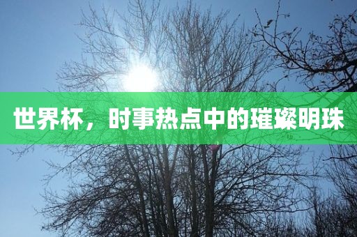世界杯，时事热点中的璀璨明珠