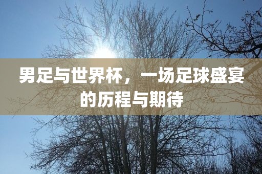 男足与世界杯，一场足球盛宴的历程与期待