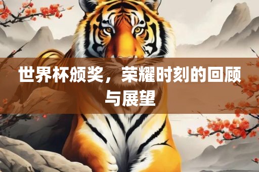 世界杯颁奖，荣耀时刻的回顾与展望