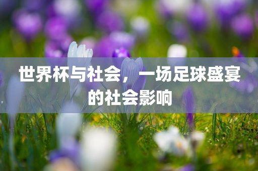 世界杯与社会，一场足球盛宴的社会影响