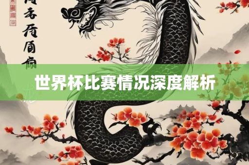 世界杯比赛情况深度解析