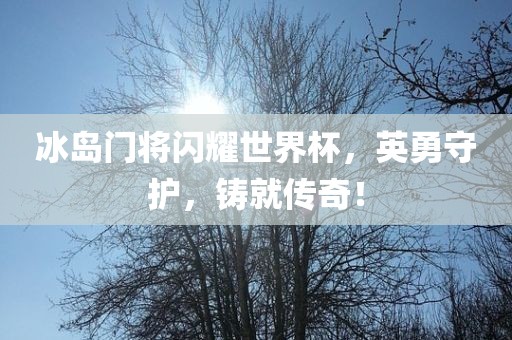 冰岛门将闪耀世界杯，英勇守护，铸就传奇！