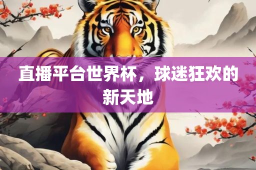 直播平台世界杯，球迷狂欢的新天地