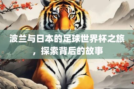 波兰与日本的足球世界杯之旅，探索背后的故事