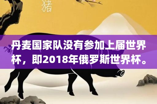 丹麦国家队没有参加上届世界杯，即2018年俄罗斯世界杯。
