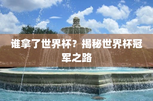 谁拿了世界杯？揭秘世界杯冠军之路