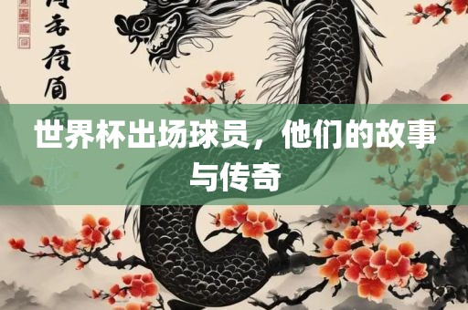 世界杯出场球员，他们的故事与传奇