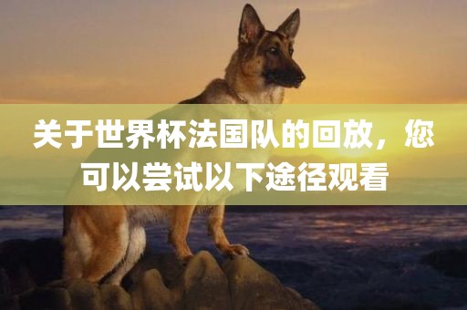 关于世界杯法国队的回放，您可以尝试以下途径观看