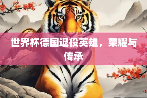 世界杯德国退役英雄，荣耀与传承