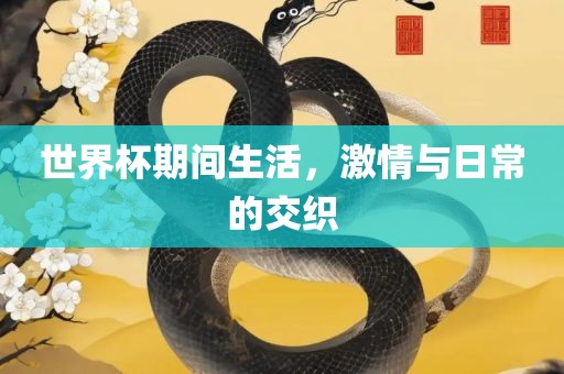 世界杯期间生活，激情与日常的交织