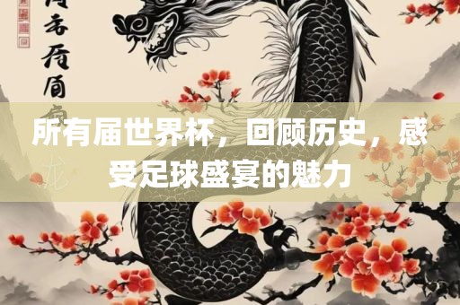 所有届世界杯，回顾历史，感受足球盛宴的魅力