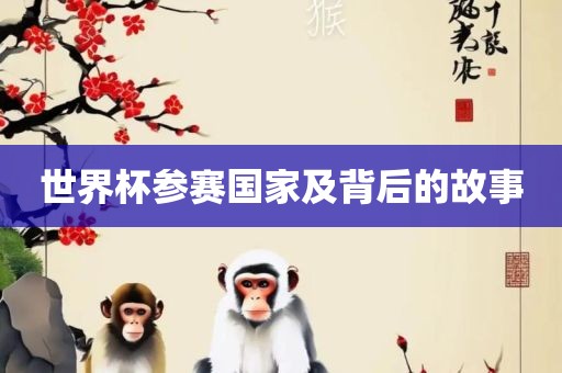 世界杯参赛国家及背后的故事