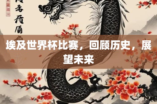 埃及世界杯比赛，回顾历史，展望未来