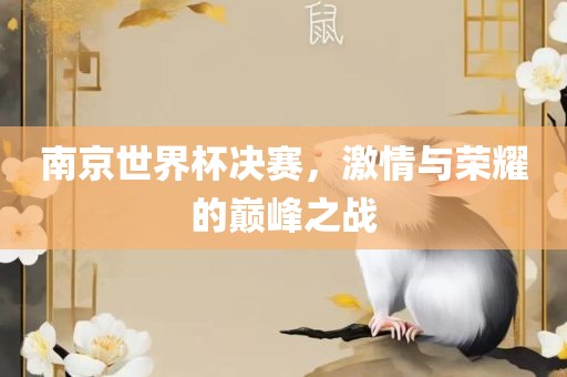 南京世界杯决赛，激情与荣耀的巅峰之战
