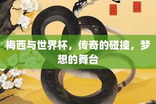 梅西与世界杯，传奇的碰撞，梦想的舞台