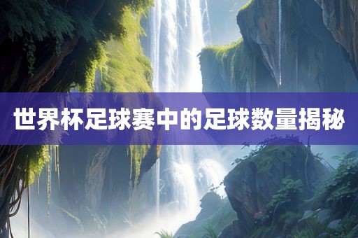 世界杯足球赛中的足球数量揭秘