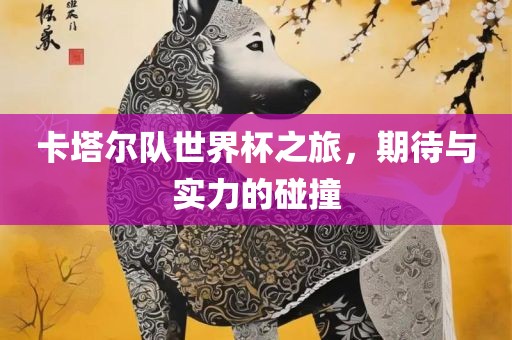 卡塔尔队世界杯之旅，期待与实力的碰撞