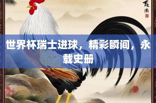 世界杯瑞士进球，精彩瞬间，永载史册