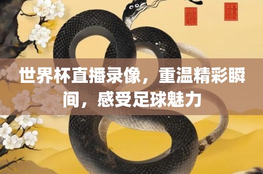 世界杯直播录像，重温精彩瞬间，感受足球魅力