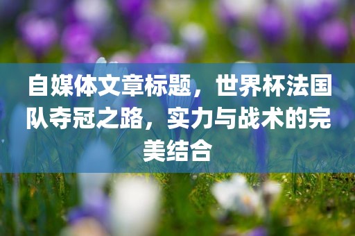 自媒体文章标题，世界杯法国队夺冠之路，实力与战术的完美结合