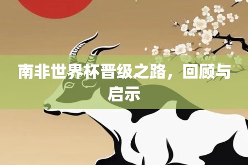 南非世界杯晋级之路，回顾与启示