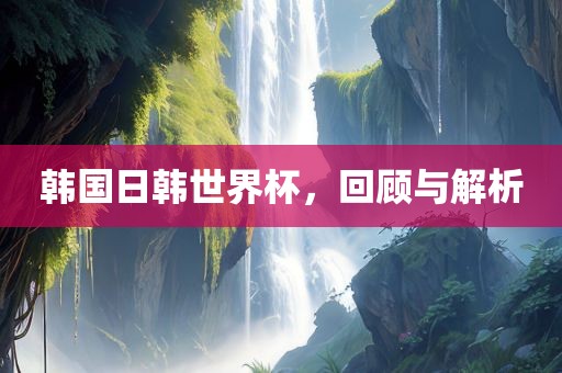 韩国日韩世界杯，回顾与解析