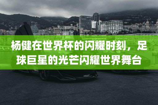杨健在世界杯的闪耀时刻，足球巨星的光芒闪耀世界舞台