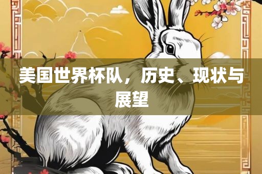 美国世界杯队，历史、现状与展望
