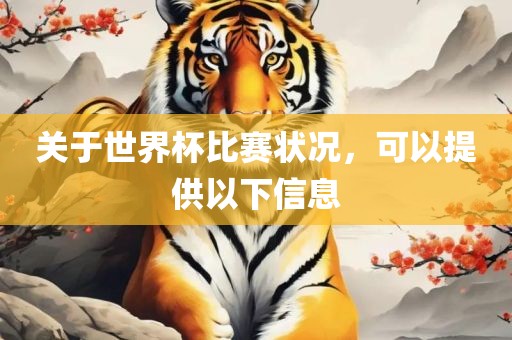 关于世界杯比赛状况，可以提供以下信息