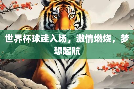 世界杯球迷入场，激情燃烧，梦想起航