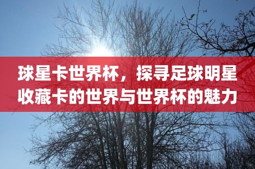 球星卡世界杯，探寻足球明星收藏卡的世界与世界杯的魅力