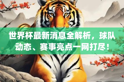 世界杯最新消息全解析，球队动态、赛事亮点一网打尽！