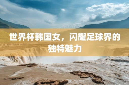 世界杯韩国女，闪耀足球界的独特魅力