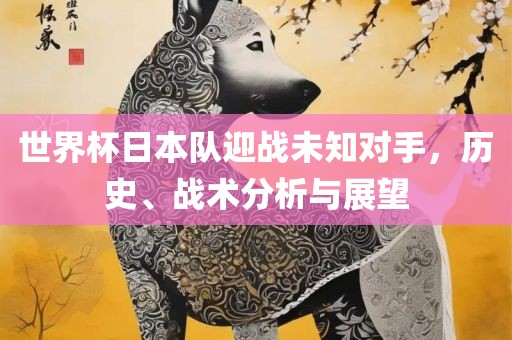 世界杯日本队迎战未知对手，历史、战术分析与展望